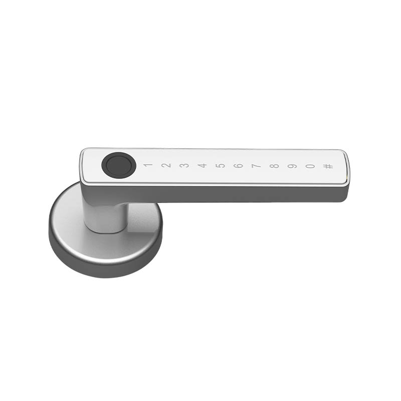 Indoor Door Locks, Room Door Locks B01