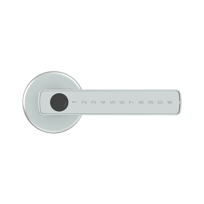 Indoor Door Locks, Room Door Locks B01