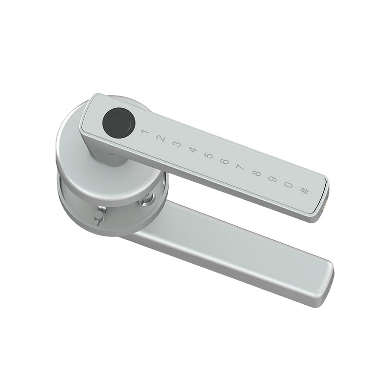 Indoor Door Locks, Room Door Locks B01