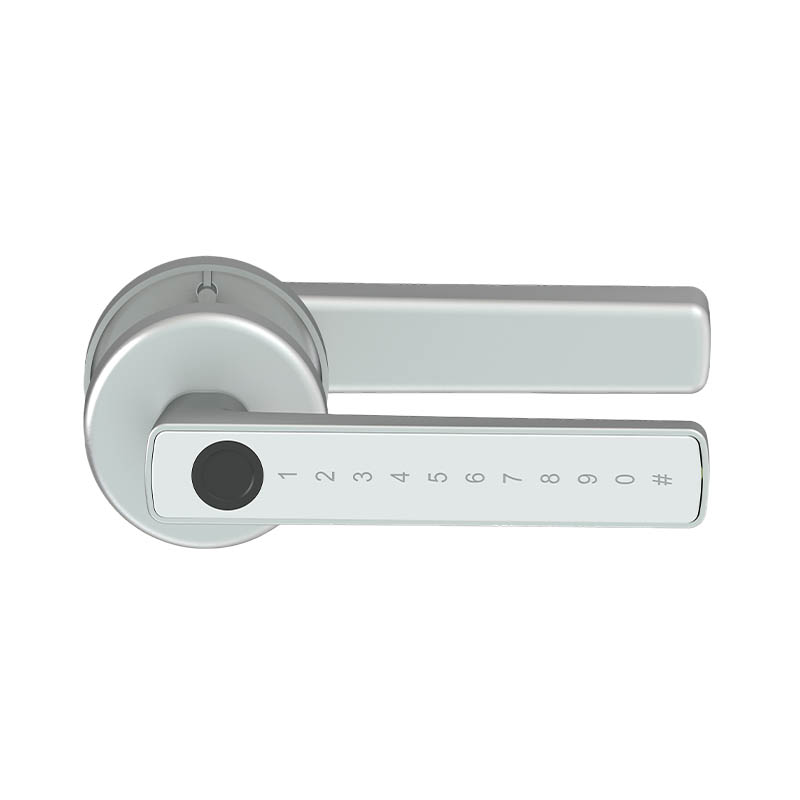 Indoor Door Locks, Room Door Locks B01