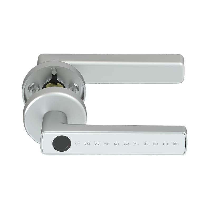 Indoor Door Locks, Room Door Locks B01